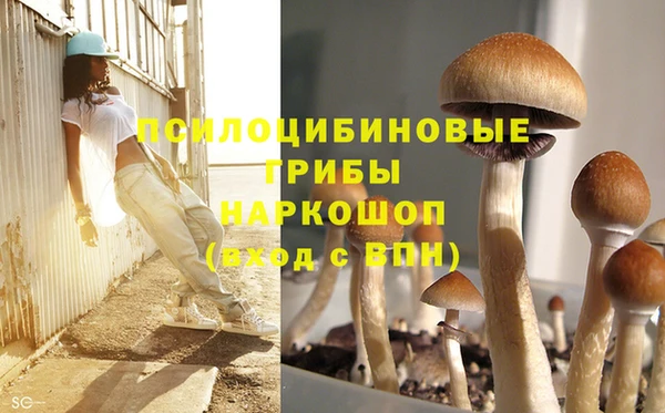 каннабис Баксан
