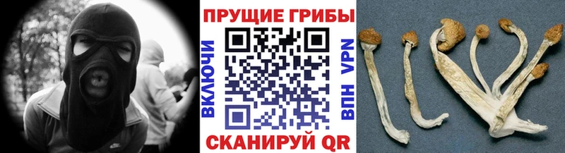 Псилоцибиновые грибы Magic Shrooms  Усть-Лабинск 